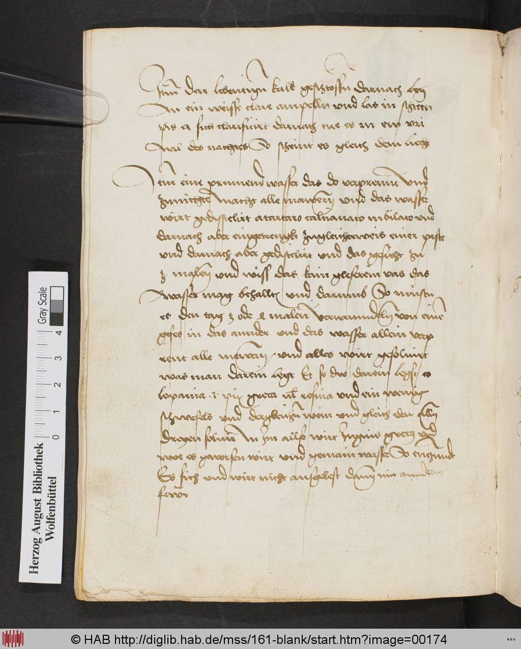 http://diglib.hab.de/mss/161-blank/00174.jpg