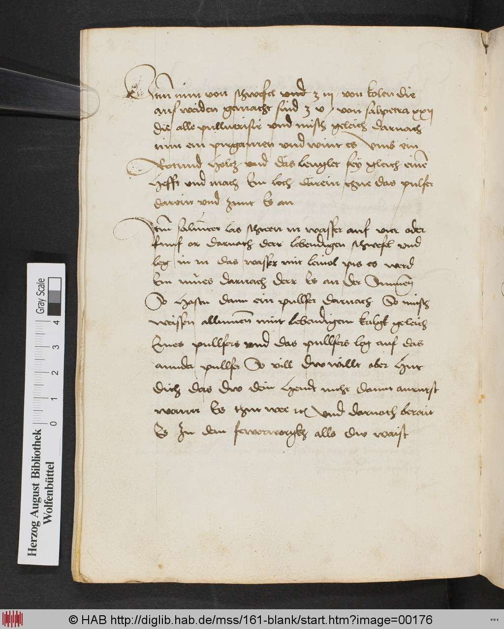 http://diglib.hab.de/mss/161-blank/00176.jpg