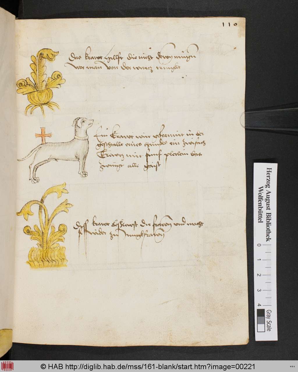 http://diglib.hab.de/mss/161-blank/00221.jpg