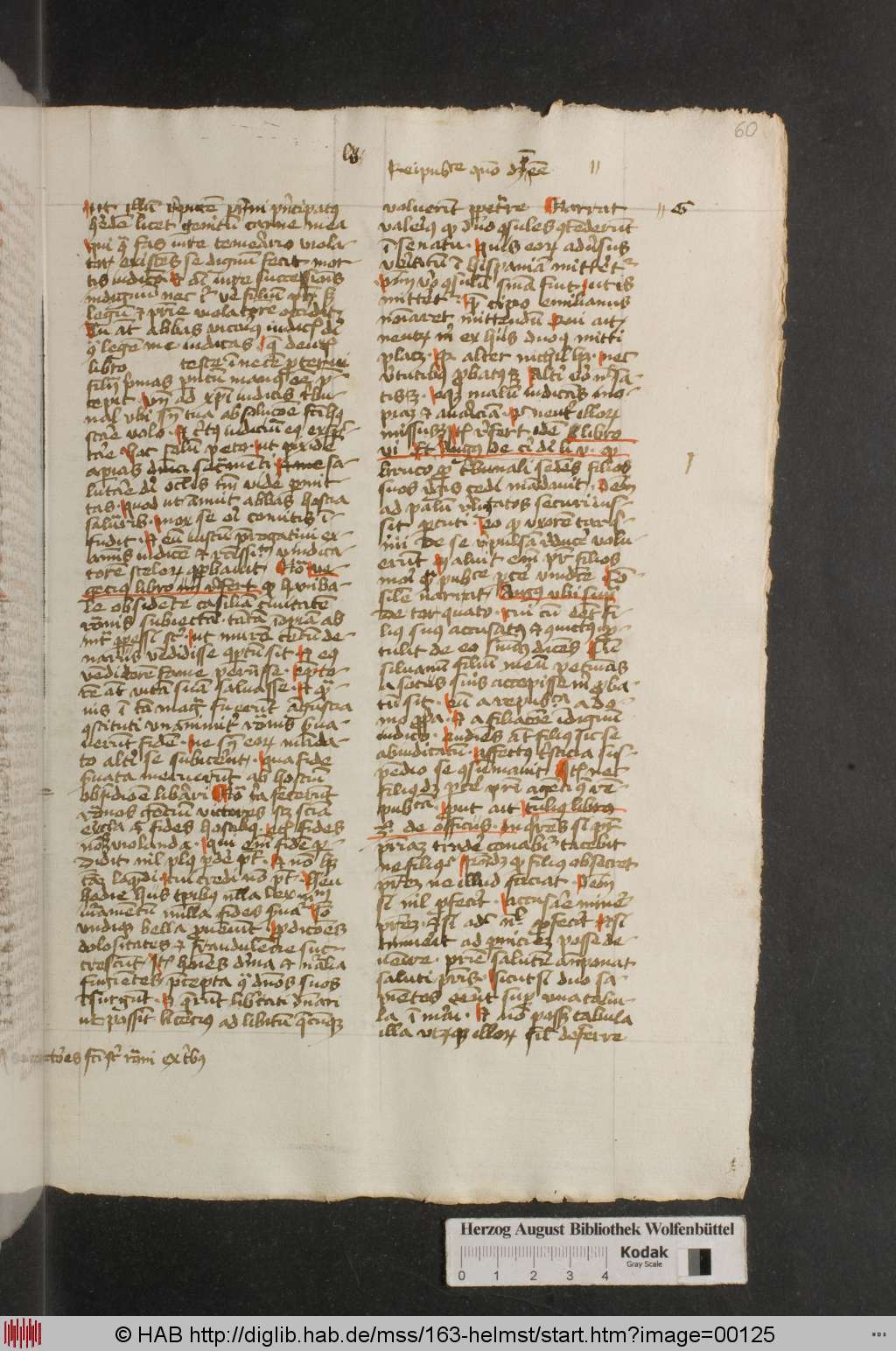 http://diglib.hab.de/mss/163-helmst/00125.jpg