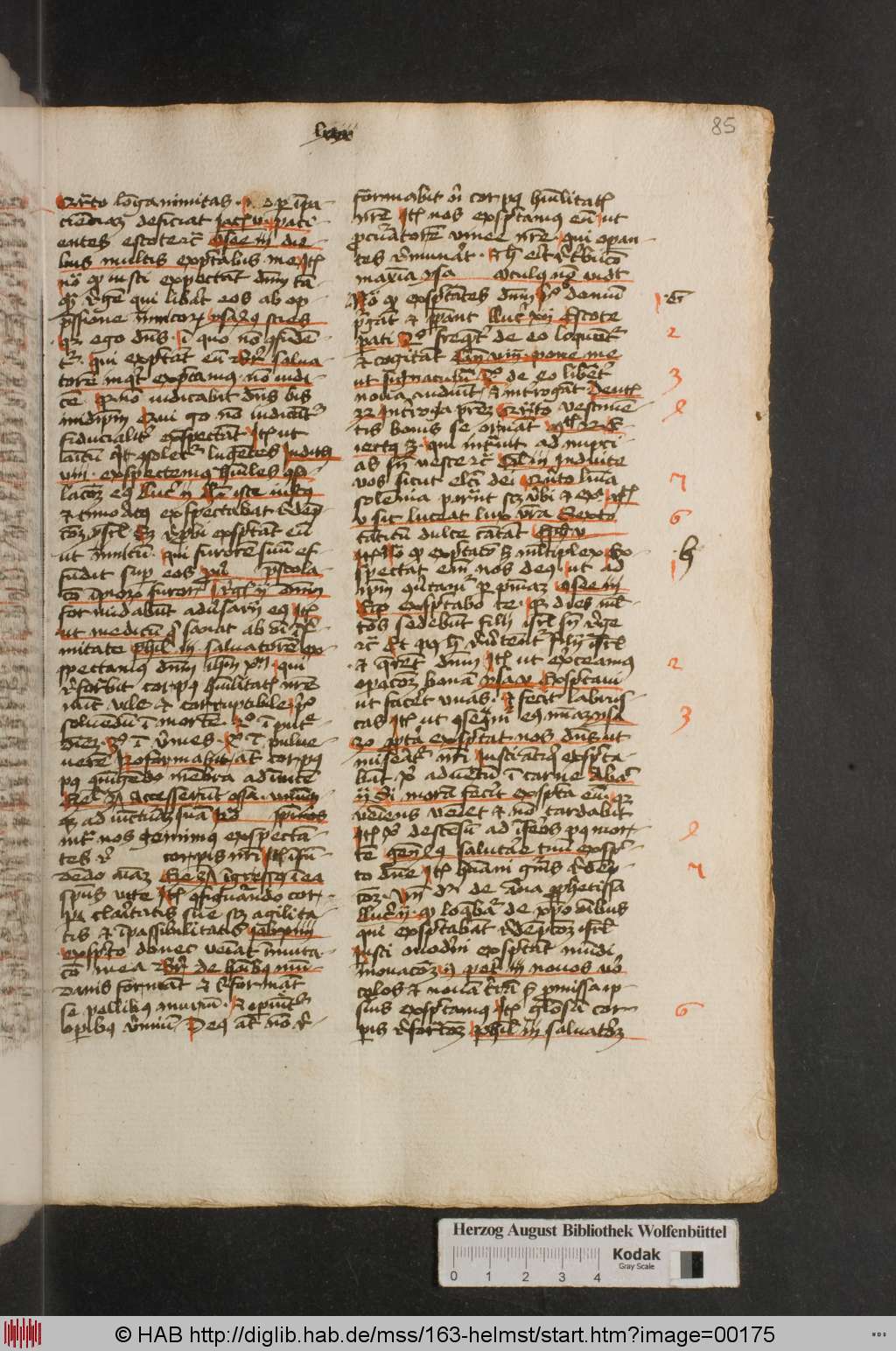 http://diglib.hab.de/mss/163-helmst/00175.jpg