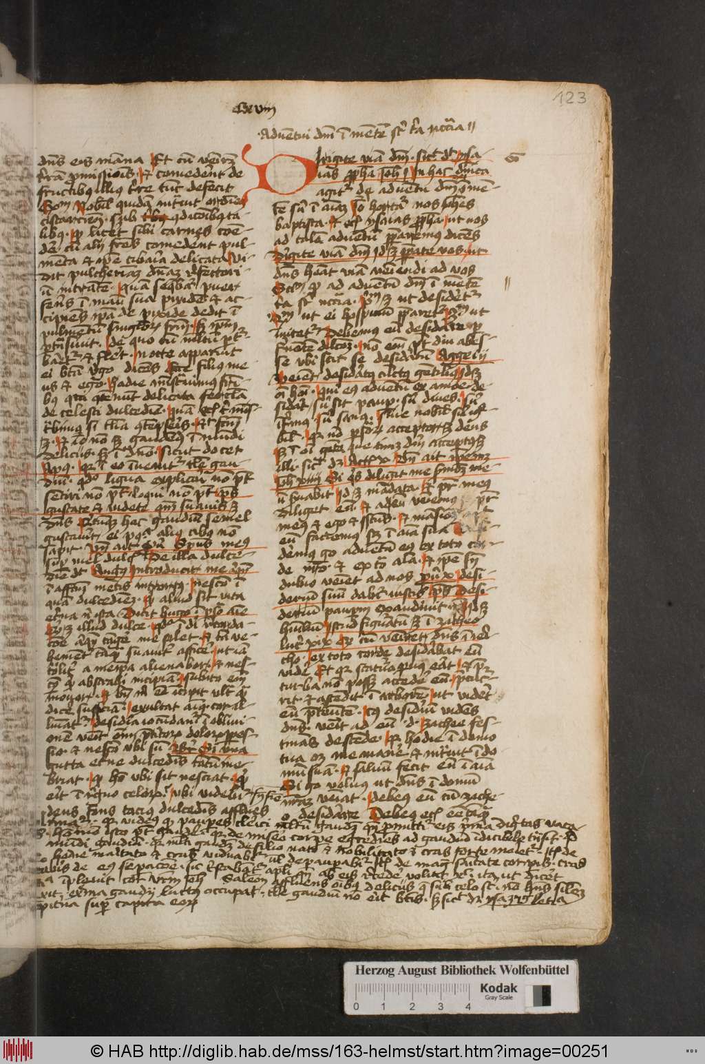 http://diglib.hab.de/mss/163-helmst/00251.jpg