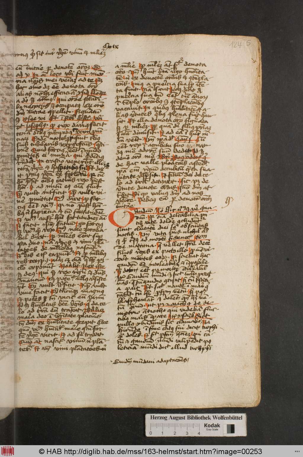 http://diglib.hab.de/mss/163-helmst/00253.jpg