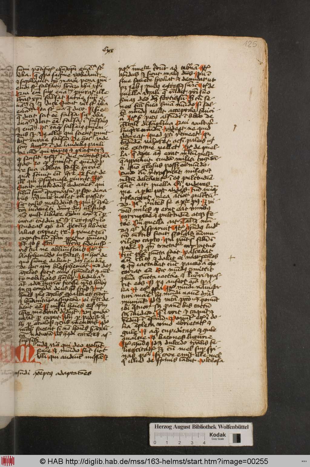http://diglib.hab.de/mss/163-helmst/00255.jpg
