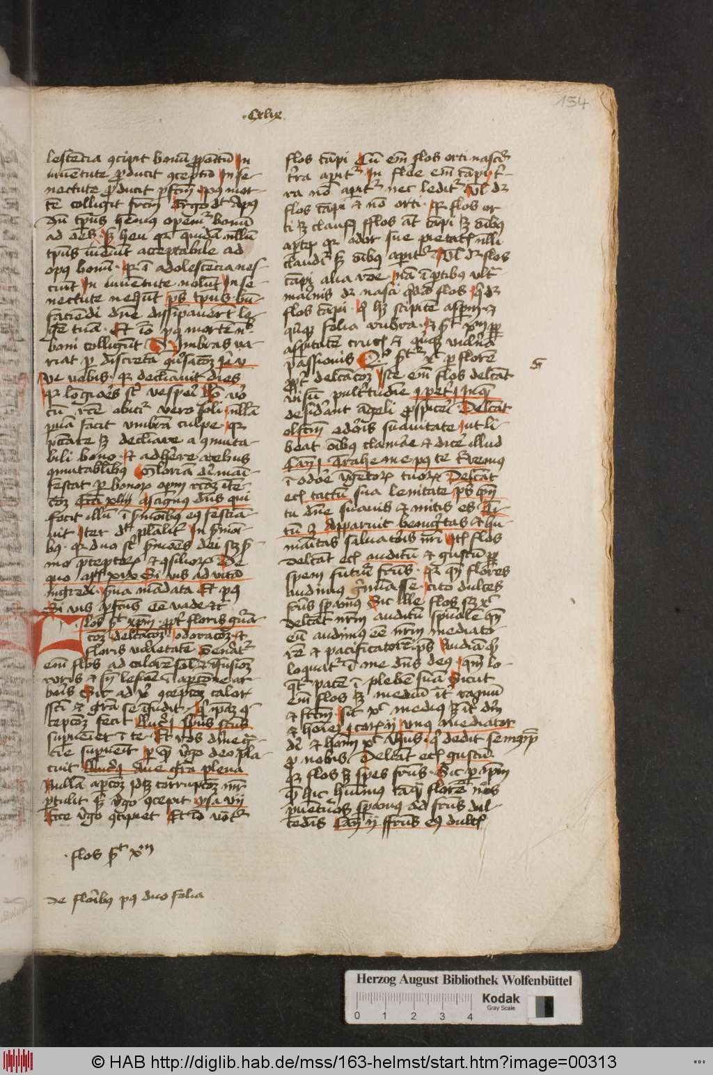 http://diglib.hab.de/mss/163-helmst/00313.jpg