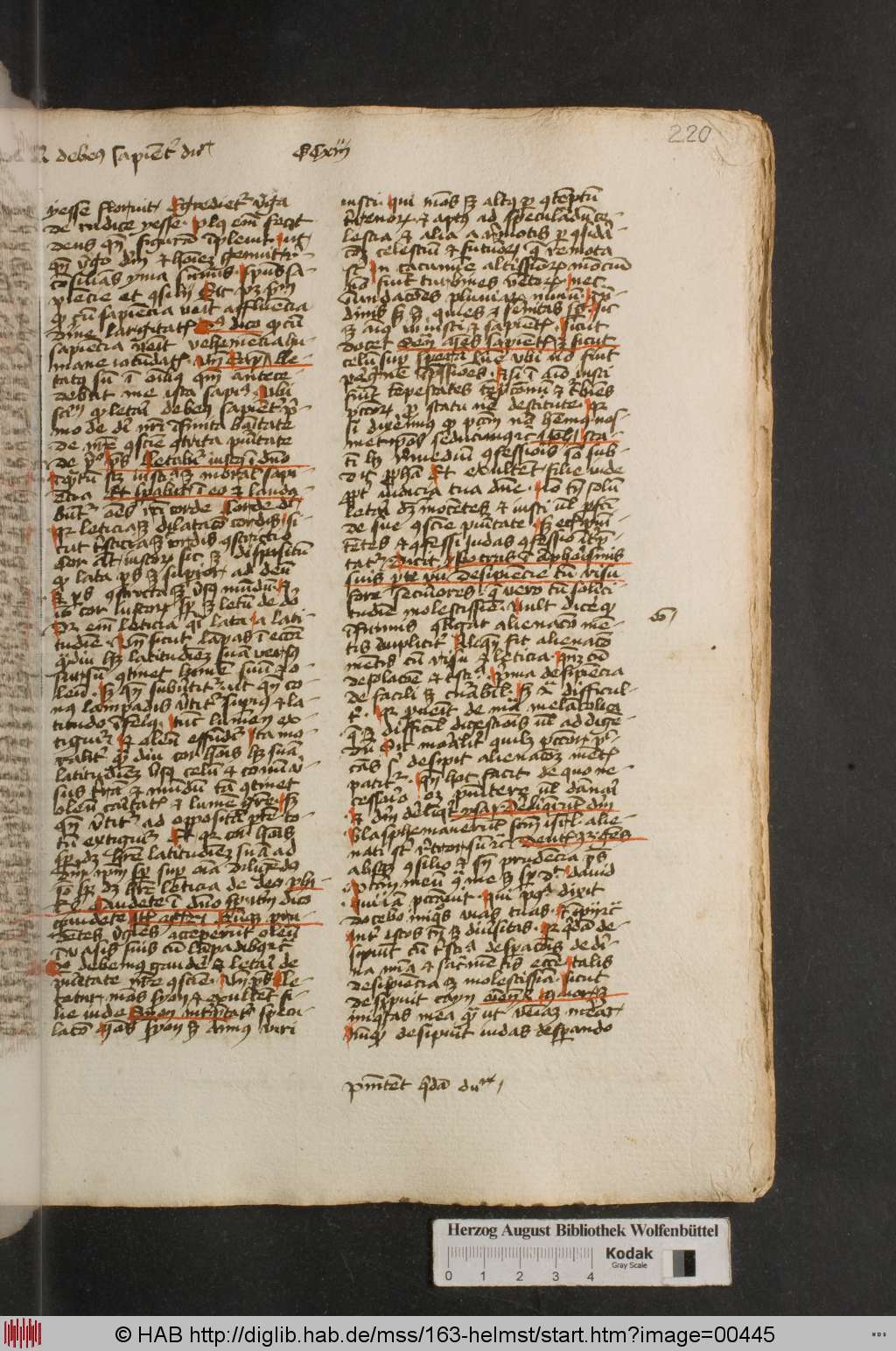 http://diglib.hab.de/mss/163-helmst/00445.jpg