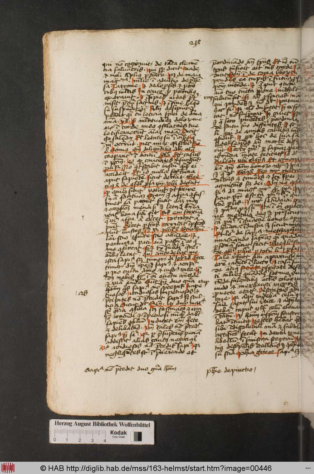http://diglib.hab.de/mss/163-helmst/00446.jpg