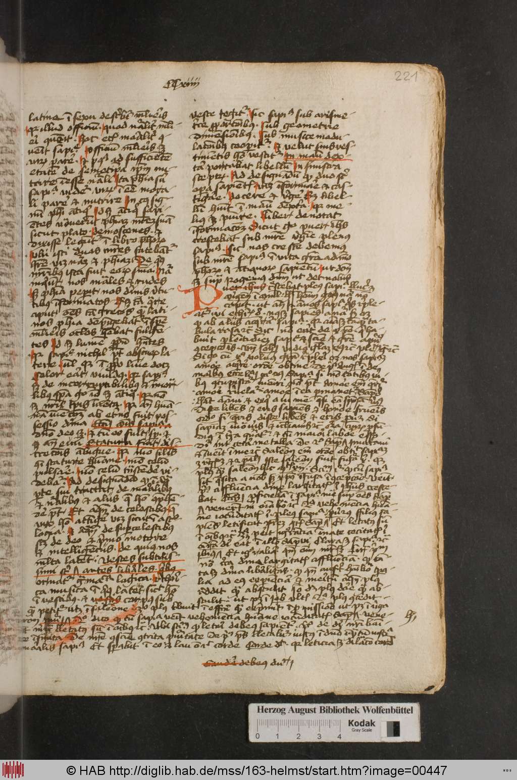 http://diglib.hab.de/mss/163-helmst/00447.jpg