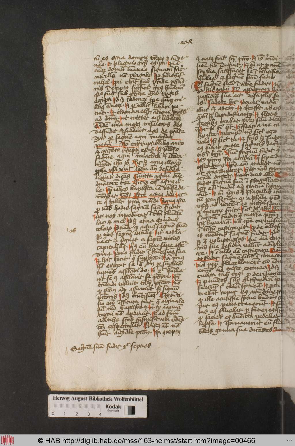 http://diglib.hab.de/mss/163-helmst/00466.jpg