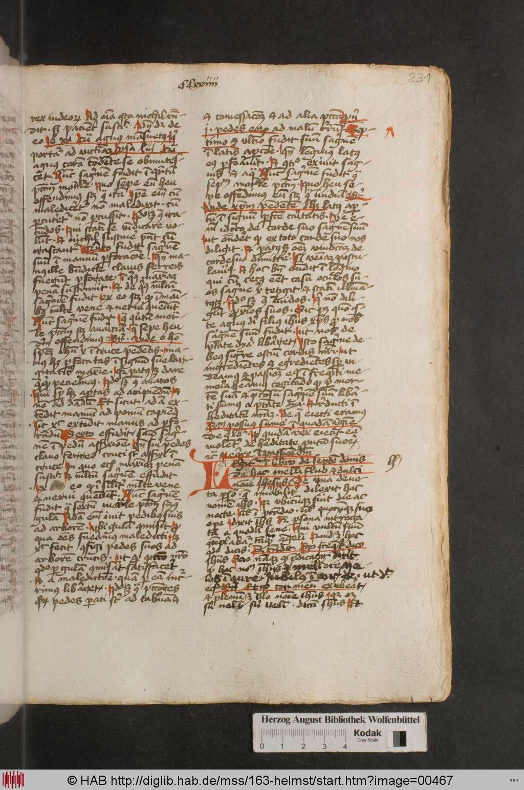 http://diglib.hab.de/mss/163-helmst/00467.jpg
