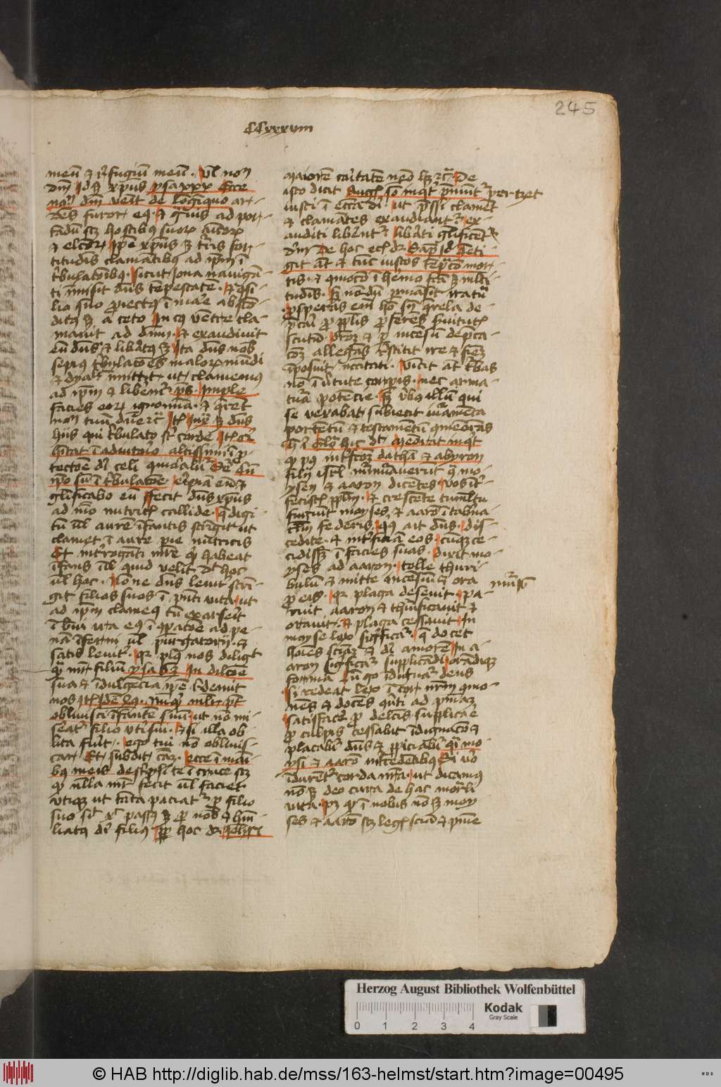 http://diglib.hab.de/mss/163-helmst/00495.jpg