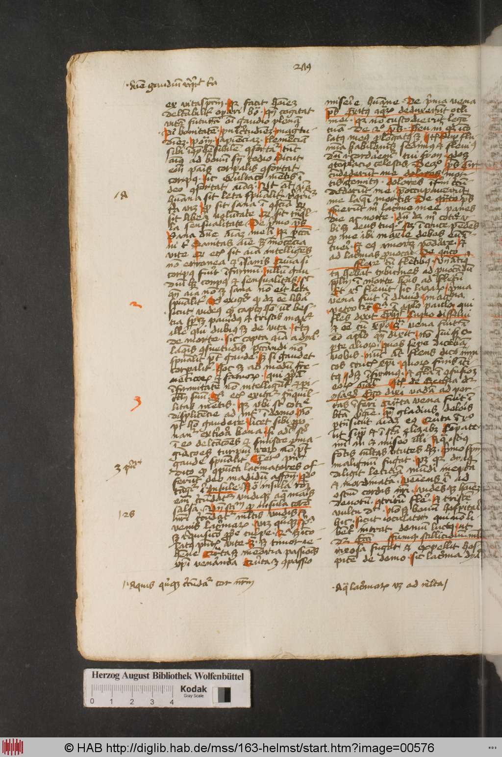 http://diglib.hab.de/mss/163-helmst/00576.jpg
