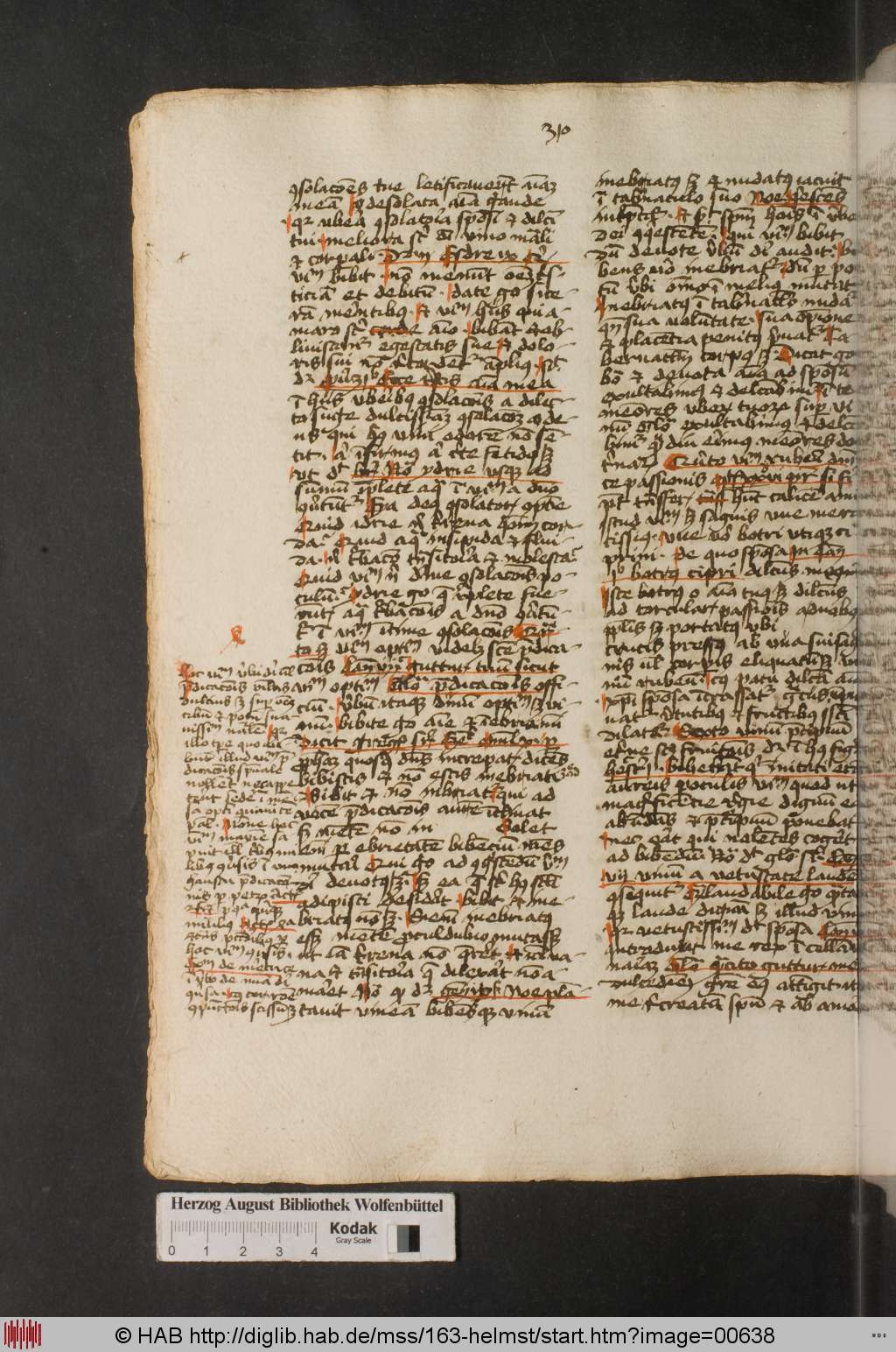 http://diglib.hab.de/mss/163-helmst/00638.jpg