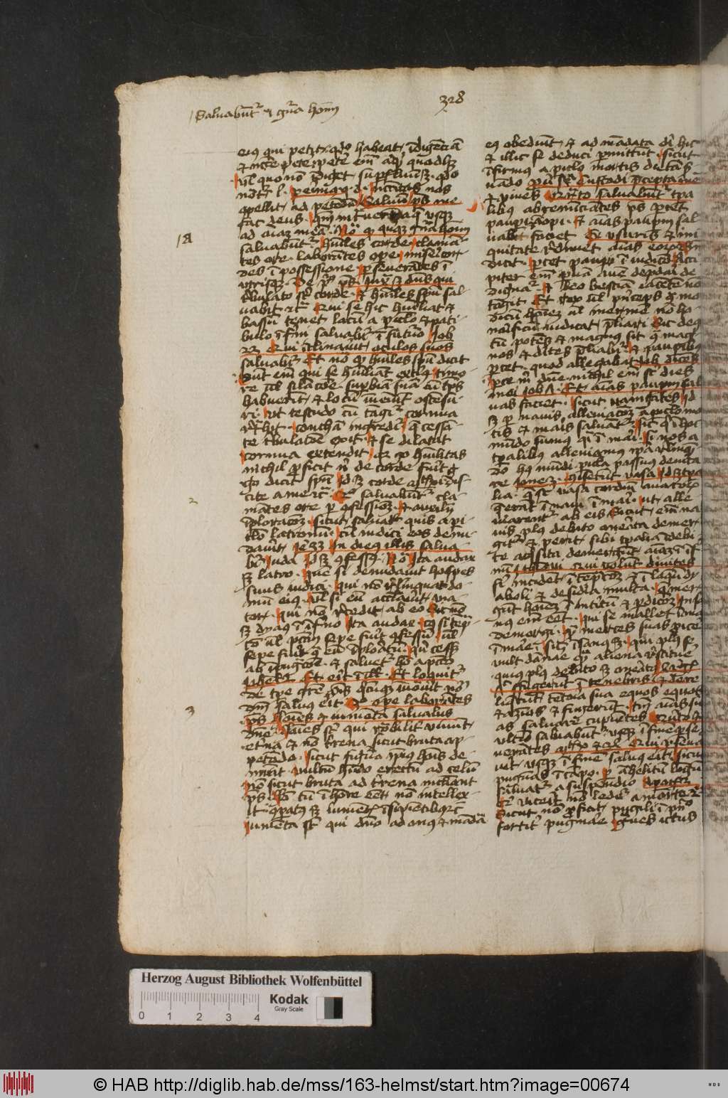 http://diglib.hab.de/mss/163-helmst/00674.jpg