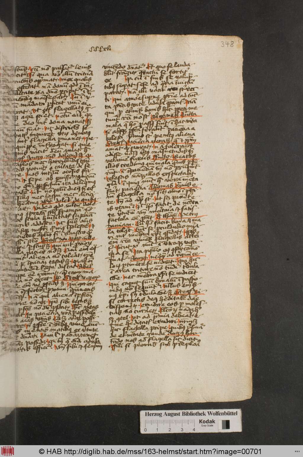 http://diglib.hab.de/mss/163-helmst/00701.jpg
