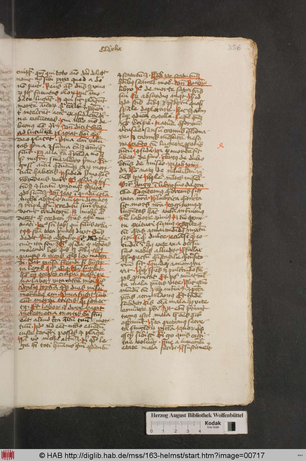 http://diglib.hab.de/mss/163-helmst/00717.jpg