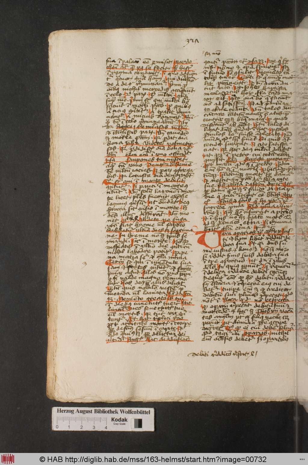 http://diglib.hab.de/mss/163-helmst/00732.jpg