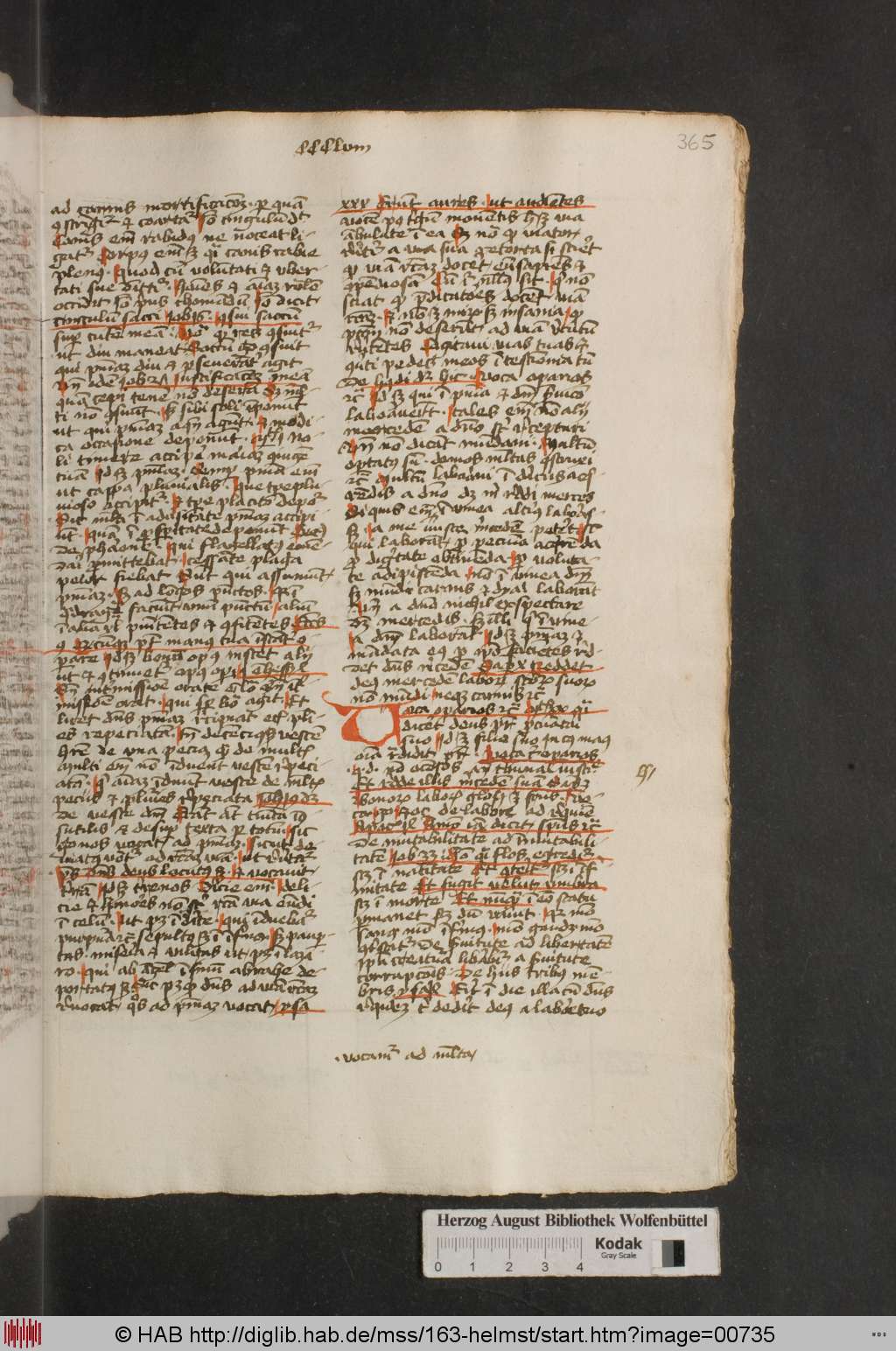http://diglib.hab.de/mss/163-helmst/00735.jpg