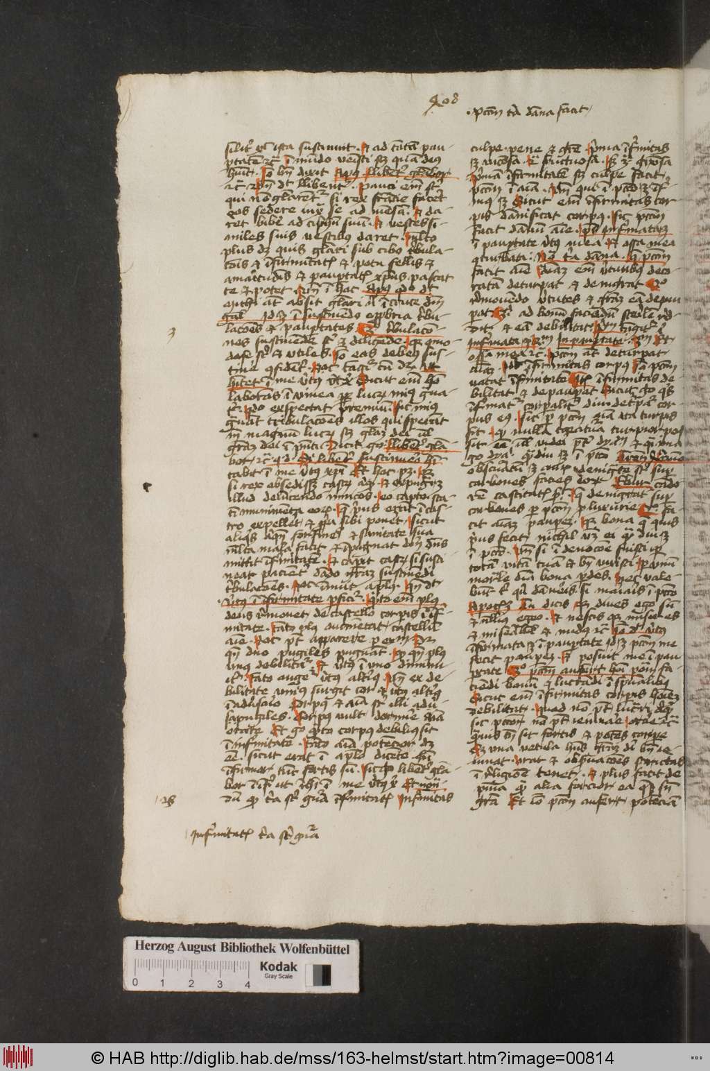 http://diglib.hab.de/mss/163-helmst/00814.jpg