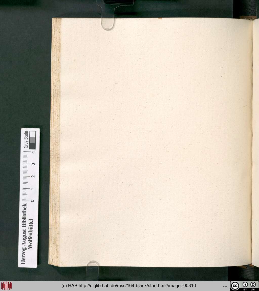 http://diglib.hab.de/mss/164-blank/00310.jpg