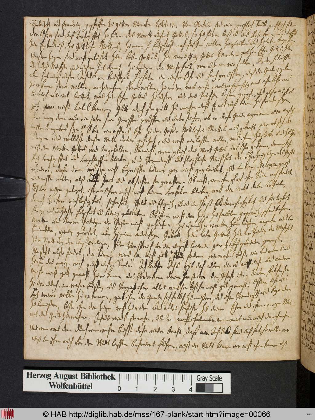 http://diglib.hab.de/mss/167-blank/00066.jpg