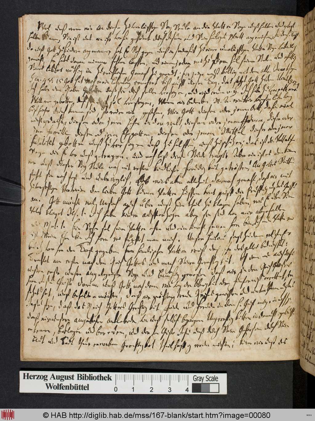 http://diglib.hab.de/mss/167-blank/00080.jpg