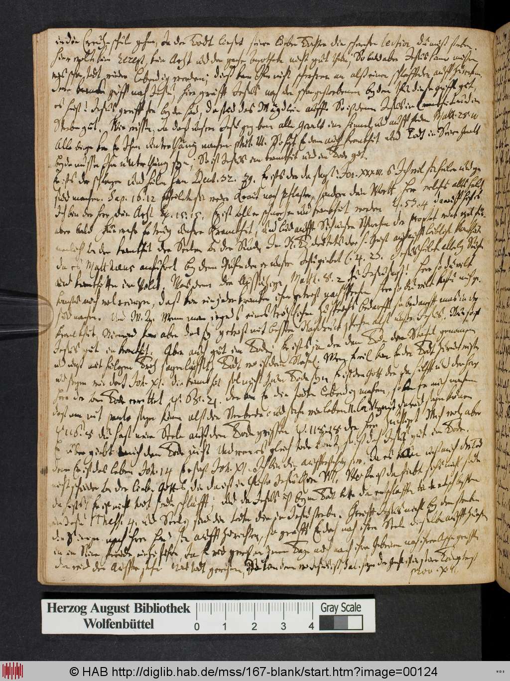 http://diglib.hab.de/mss/167-blank/00124.jpg