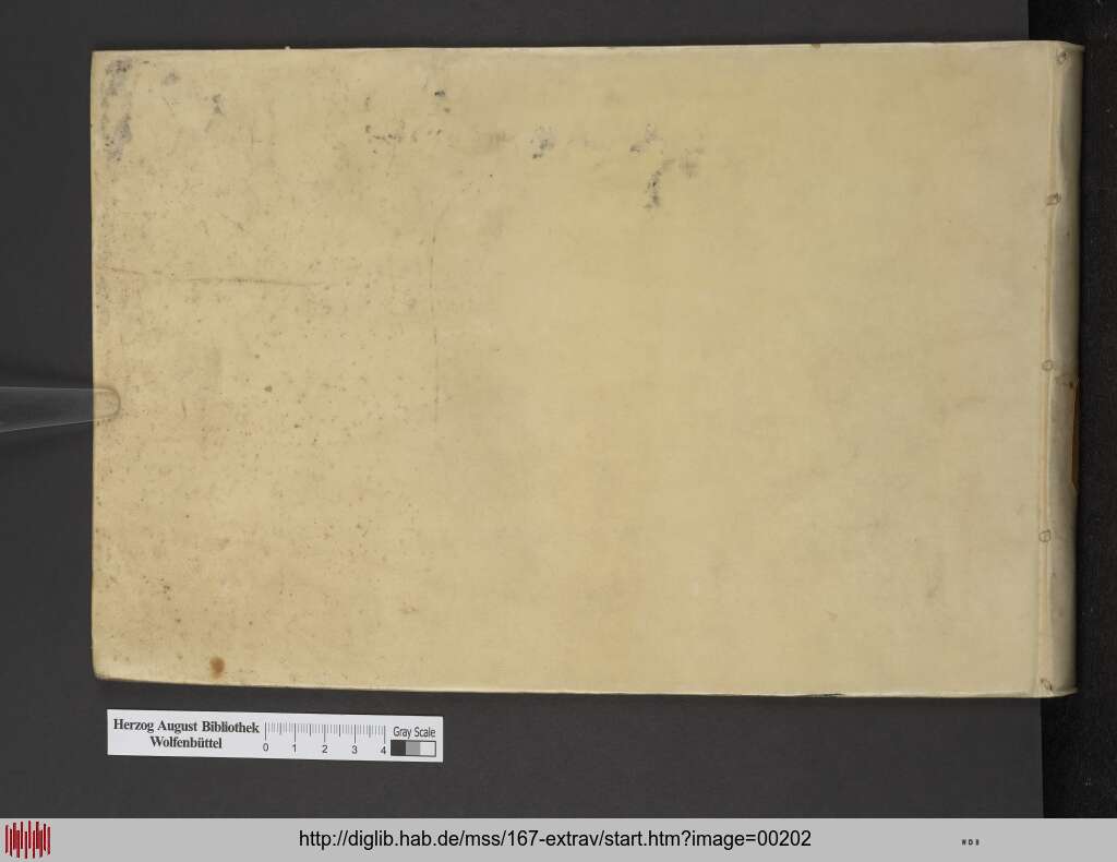 http://diglib.hab.de/mss/167-extrav/00202.jpg