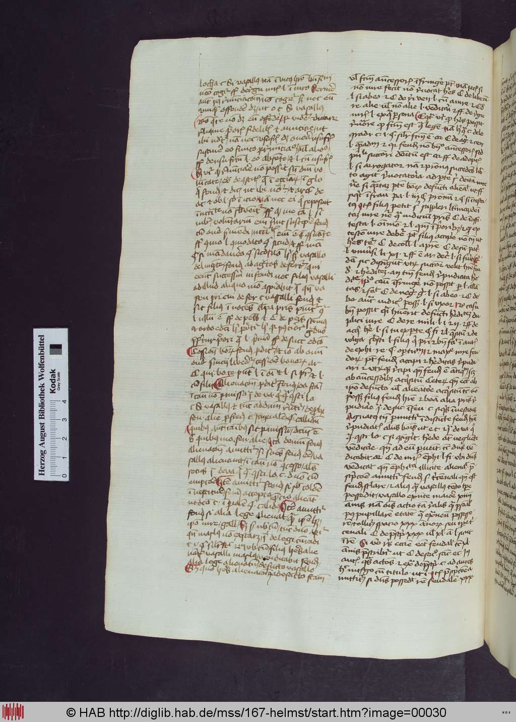 http://diglib.hab.de/mss/167-helmst/00030.jpg
