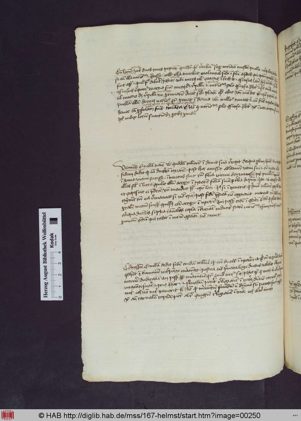 http://diglib.hab.de/mss/167-helmst/00250.jpg