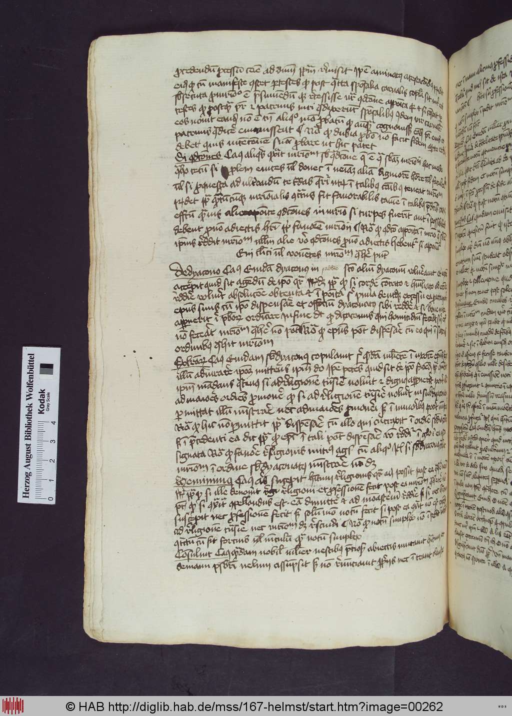 http://diglib.hab.de/mss/167-helmst/00262.jpg