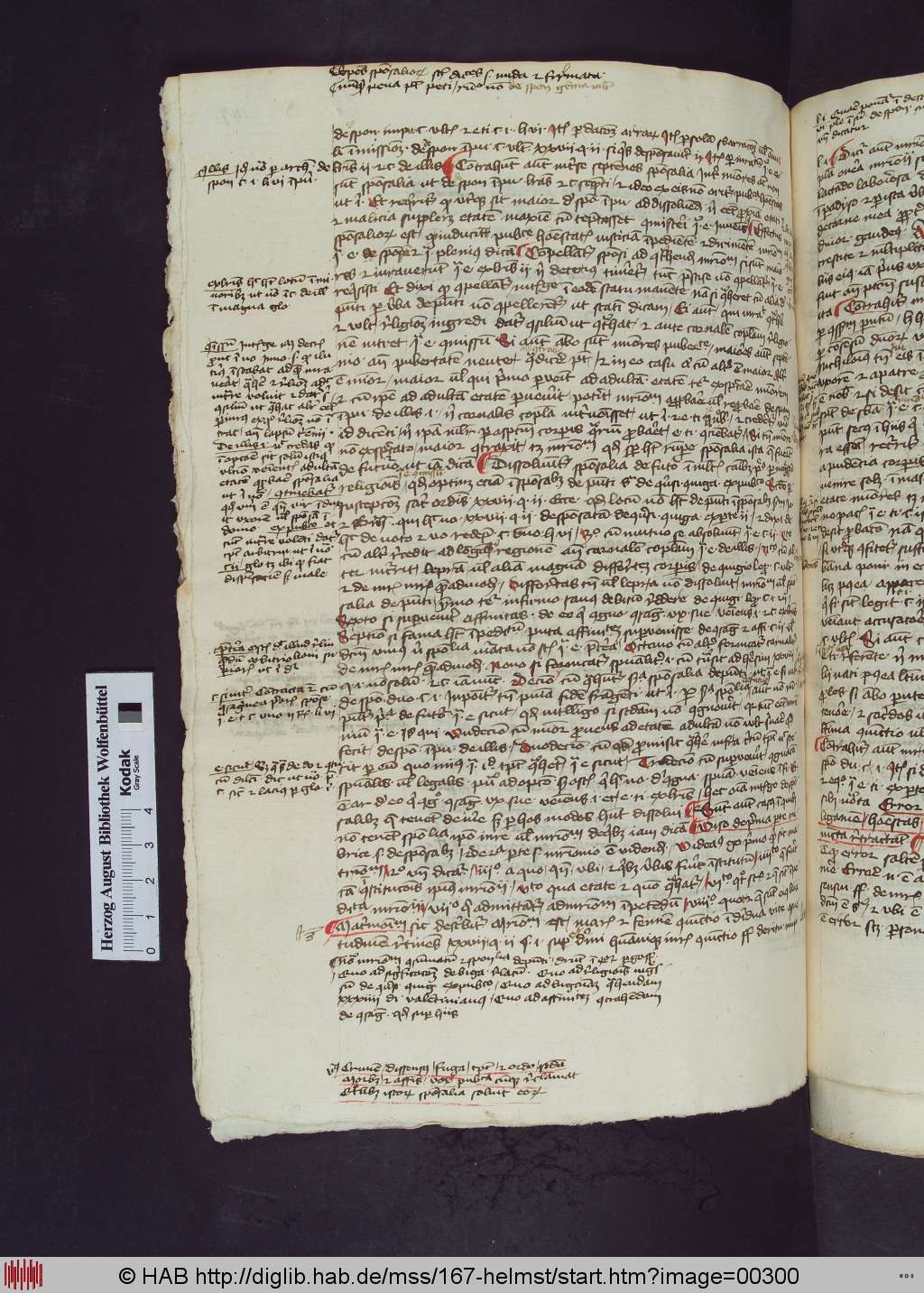 http://diglib.hab.de/mss/167-helmst/00300.jpg