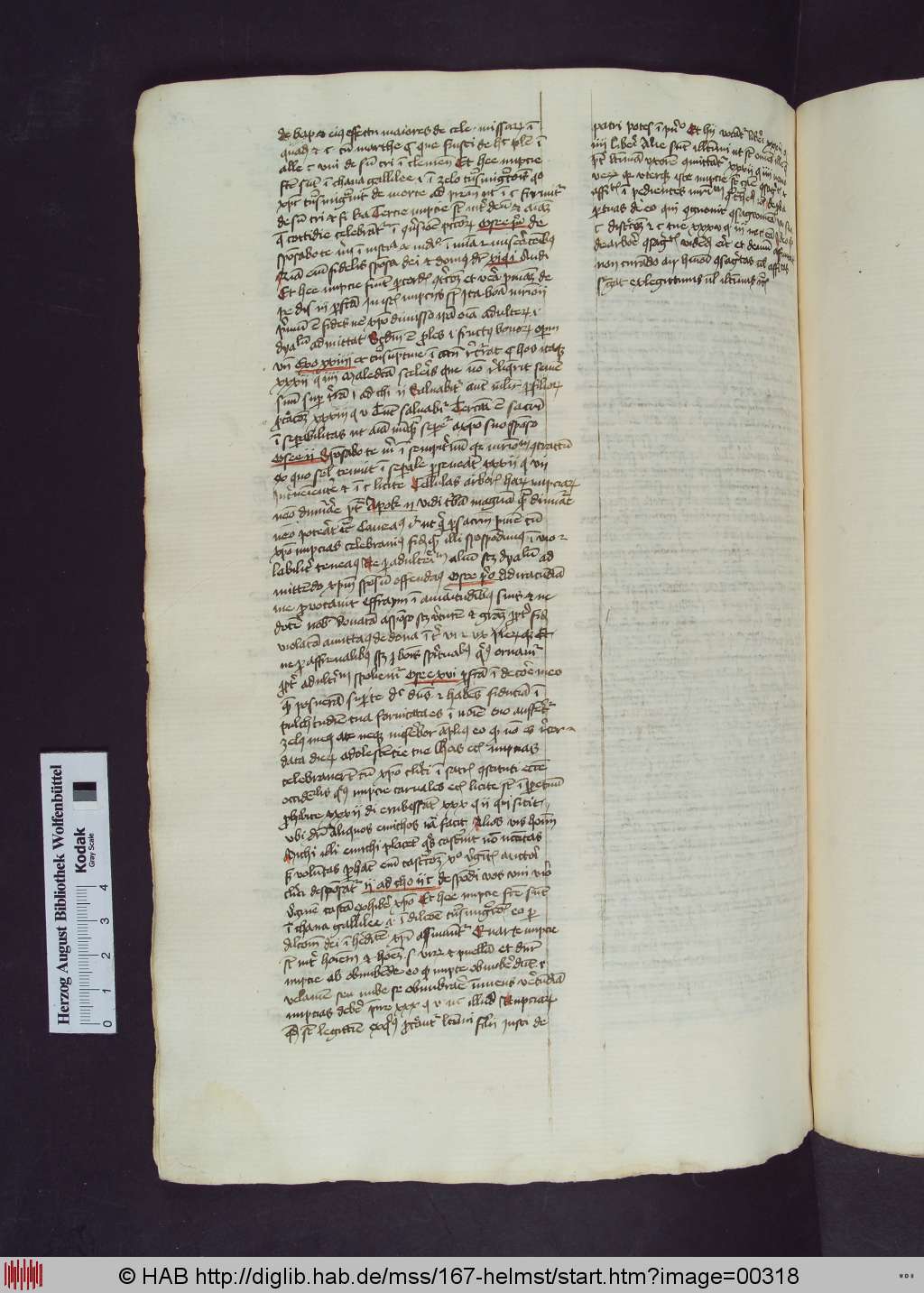 http://diglib.hab.de/mss/167-helmst/00318.jpg