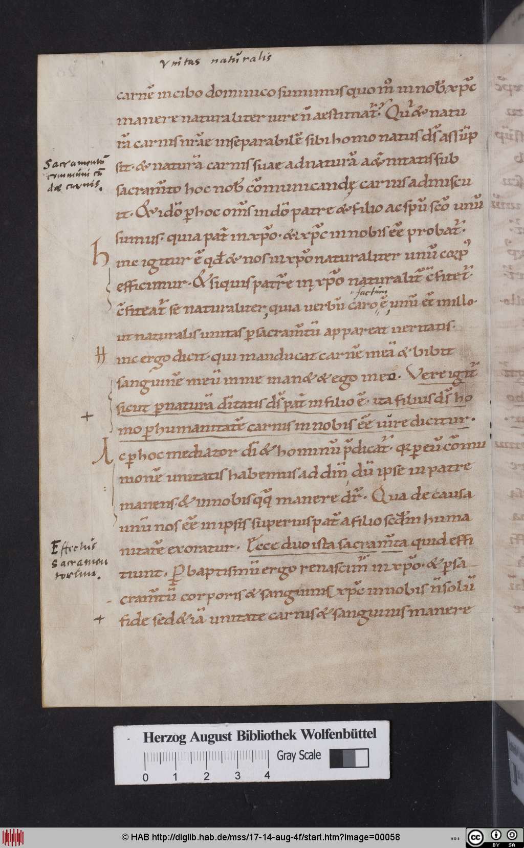 http://diglib.hab.de/mss/17-14-aug-4f/00058.jpg