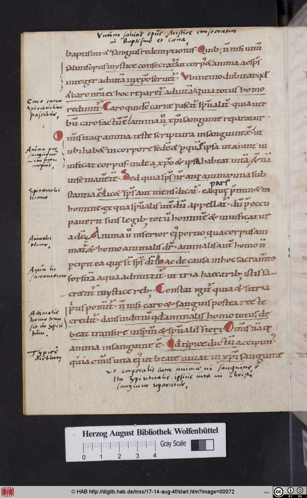 http://diglib.hab.de/mss/17-14-aug-4f/00072.jpg