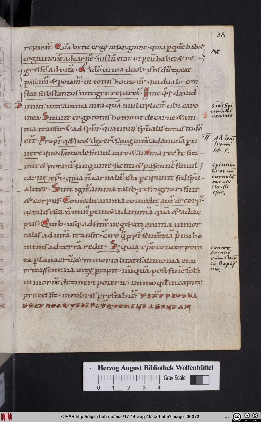 http://diglib.hab.de/mss/17-14-aug-4f/00073.jpg