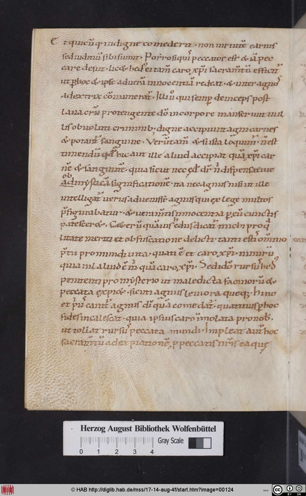http://diglib.hab.de/mss/17-14-aug-4f/00124.jpg