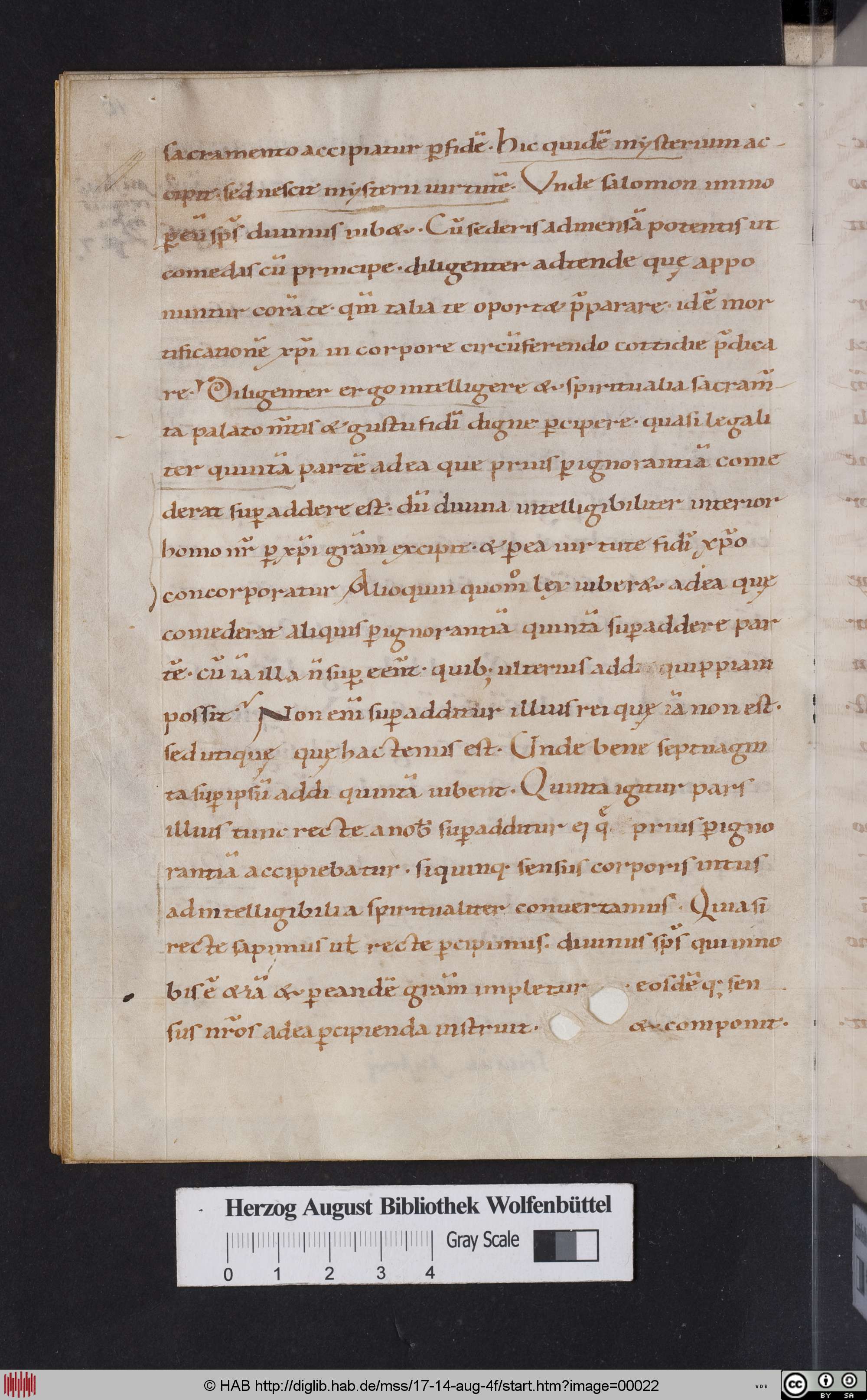 http://diglib.hab.de/mss/17-14-aug-4f/max/00022.jpg