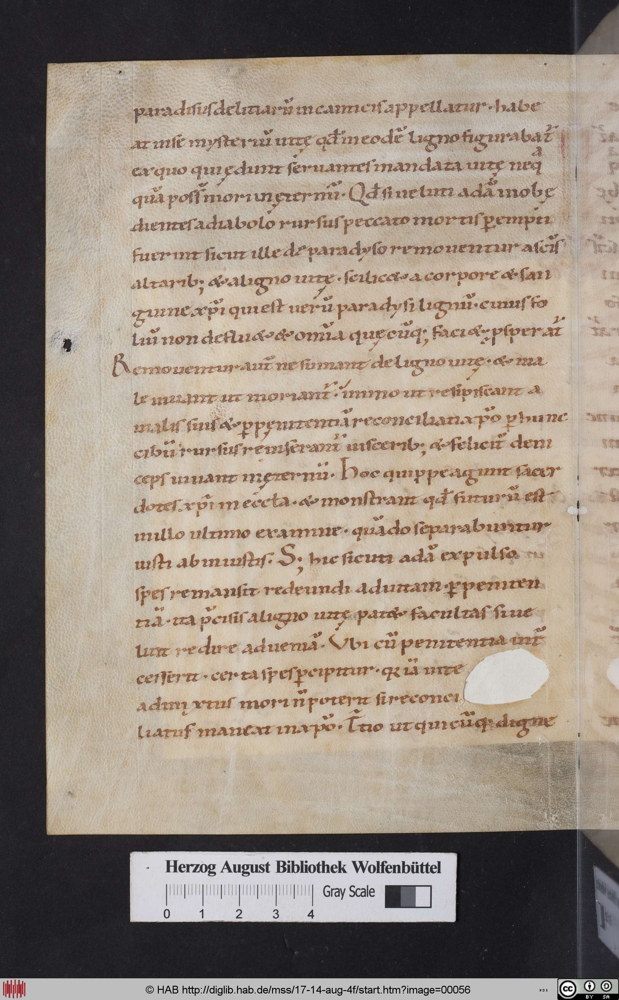 http://diglib.hab.de/mss/17-14-aug-4f/max/00056.jpg