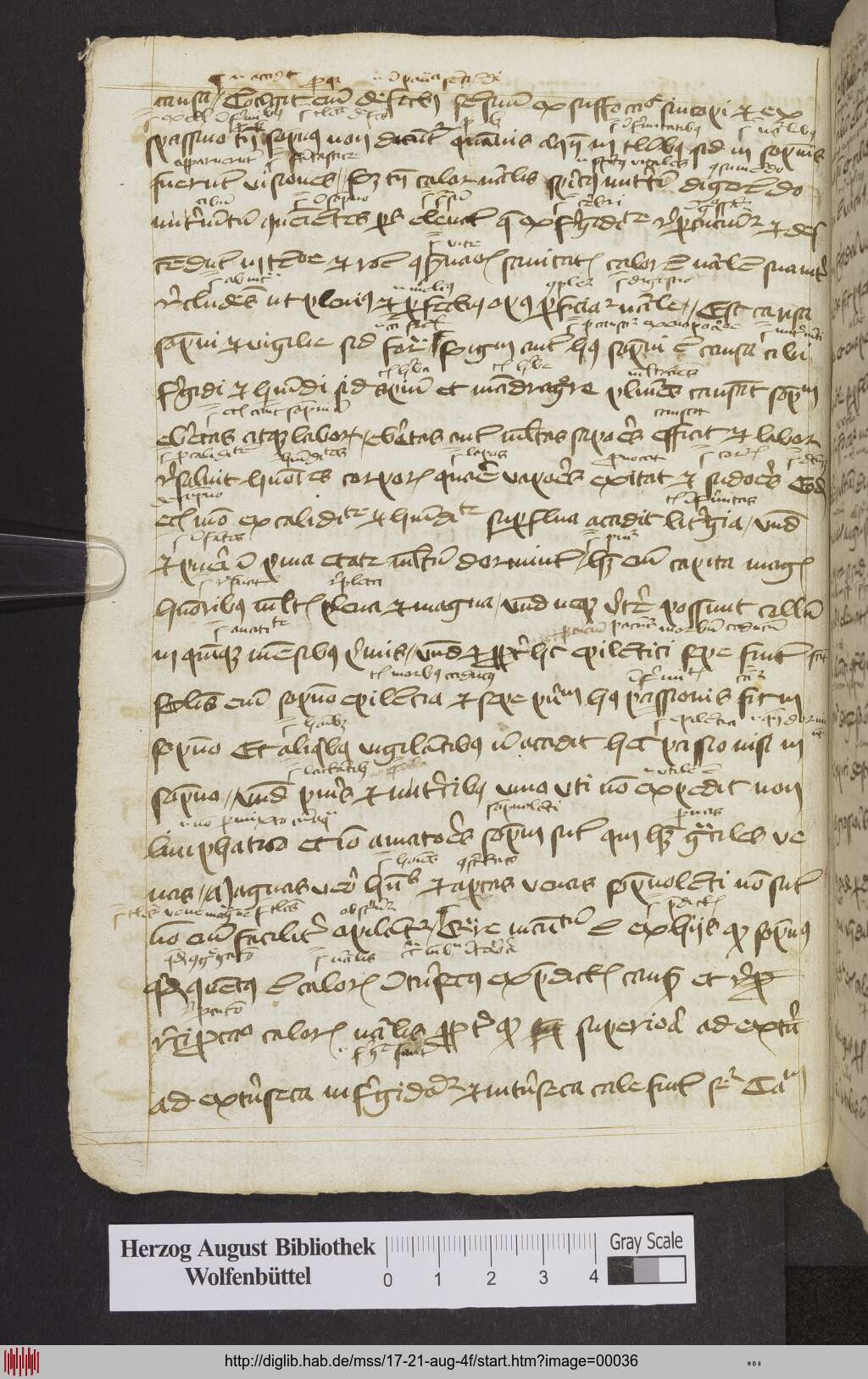 http://diglib.hab.de/mss/17-21-aug-4f/00036.jpg
