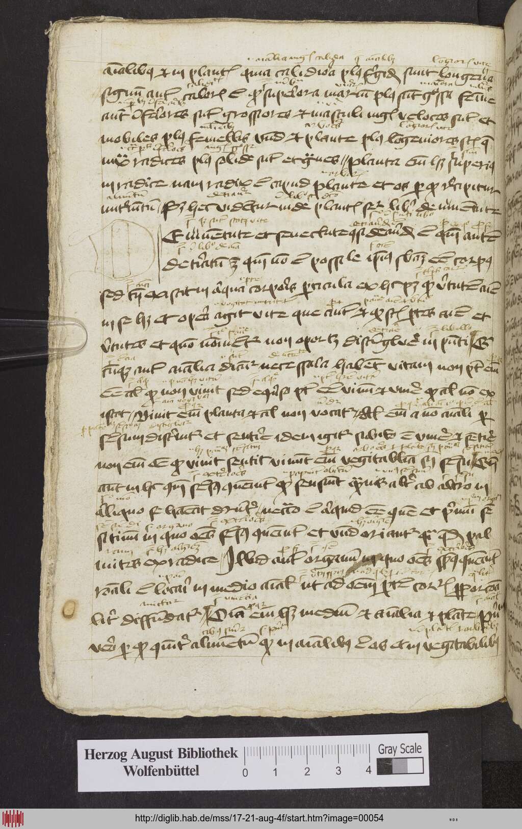 http://diglib.hab.de/mss/17-21-aug-4f/00054.jpg