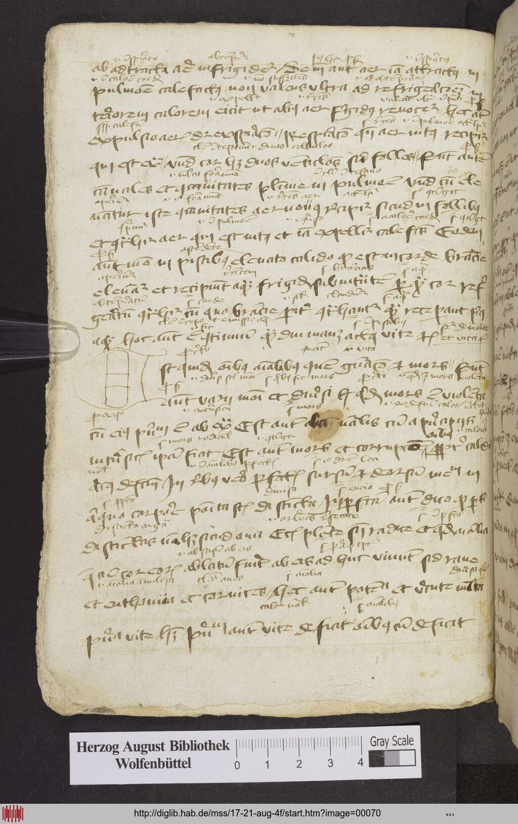 http://diglib.hab.de/mss/17-21-aug-4f/00070.jpg