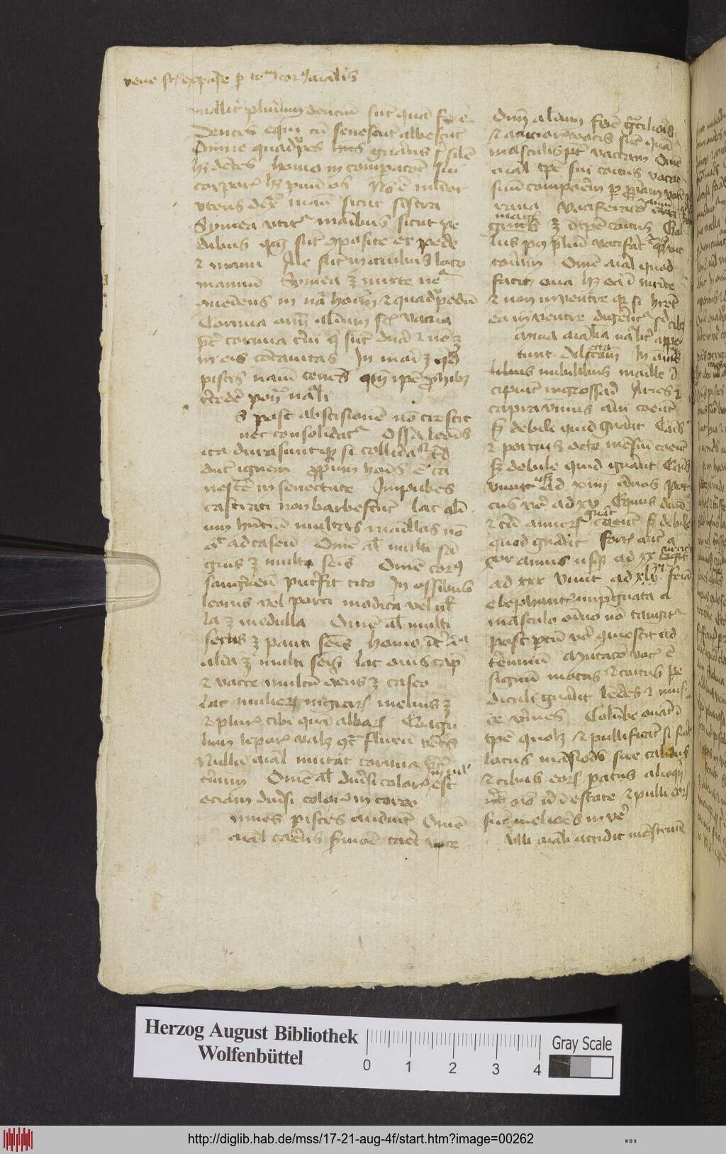 http://diglib.hab.de/mss/17-21-aug-4f/00262.jpg