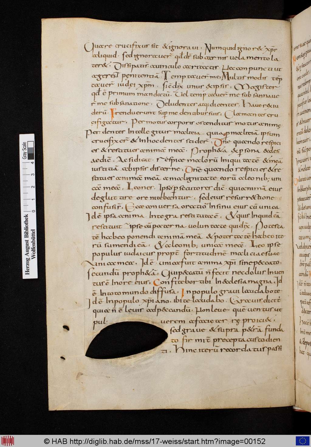 http://diglib.hab.de/mss/17-weiss/00152.jpg