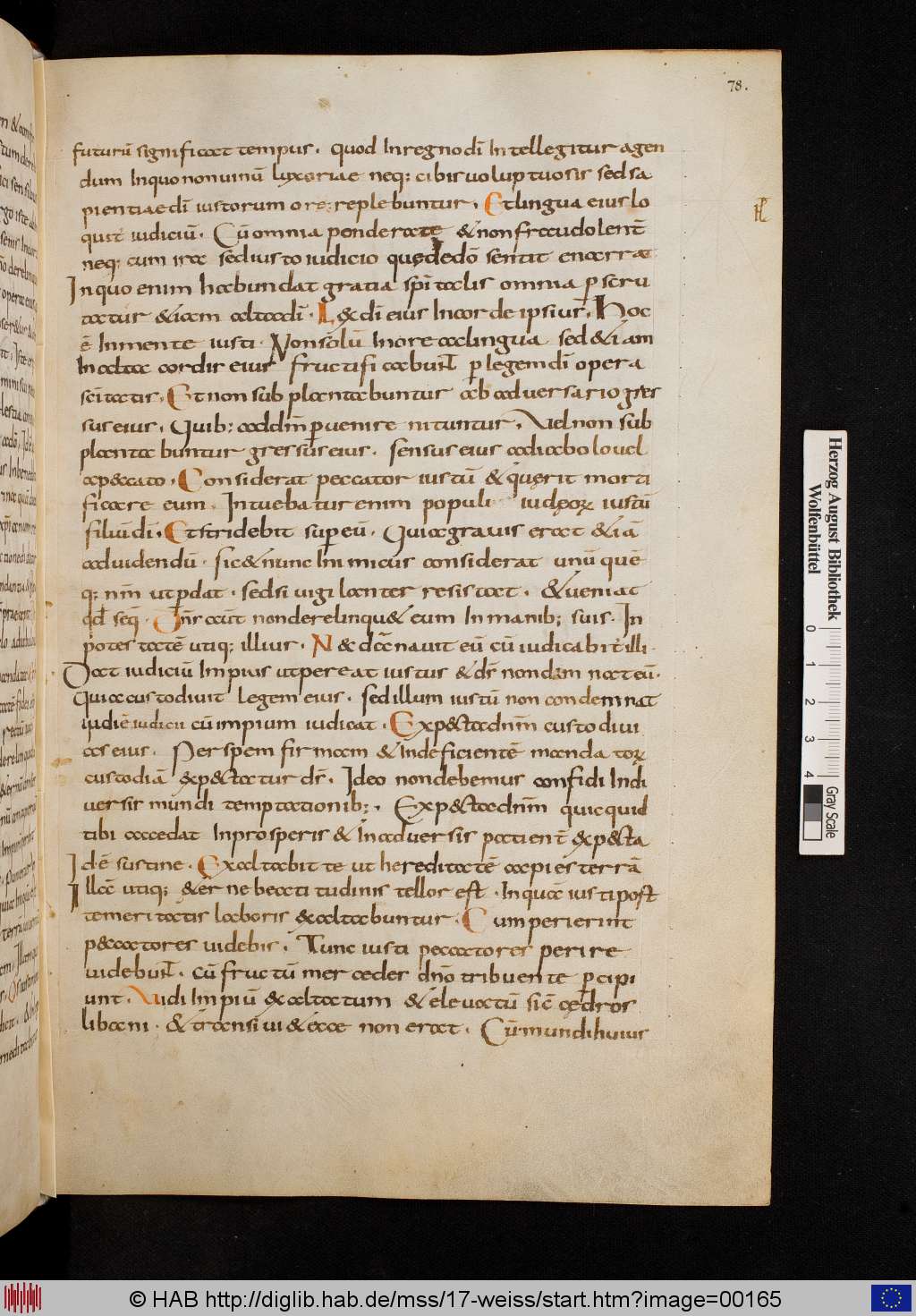 http://diglib.hab.de/mss/17-weiss/00165.jpg