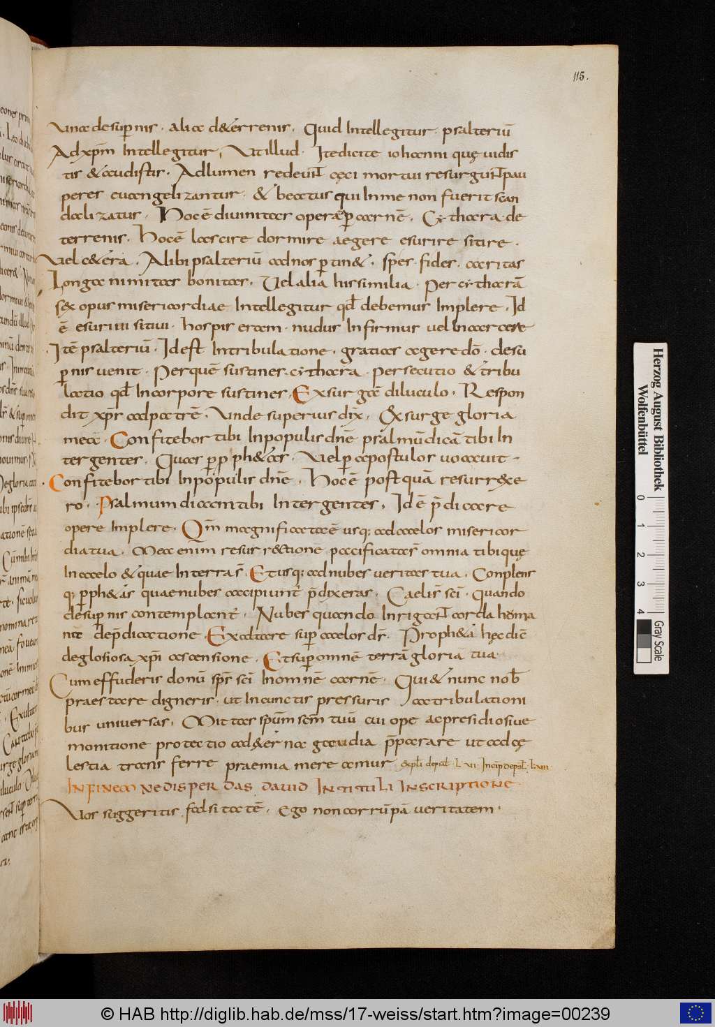 http://diglib.hab.de/mss/17-weiss/00239.jpg