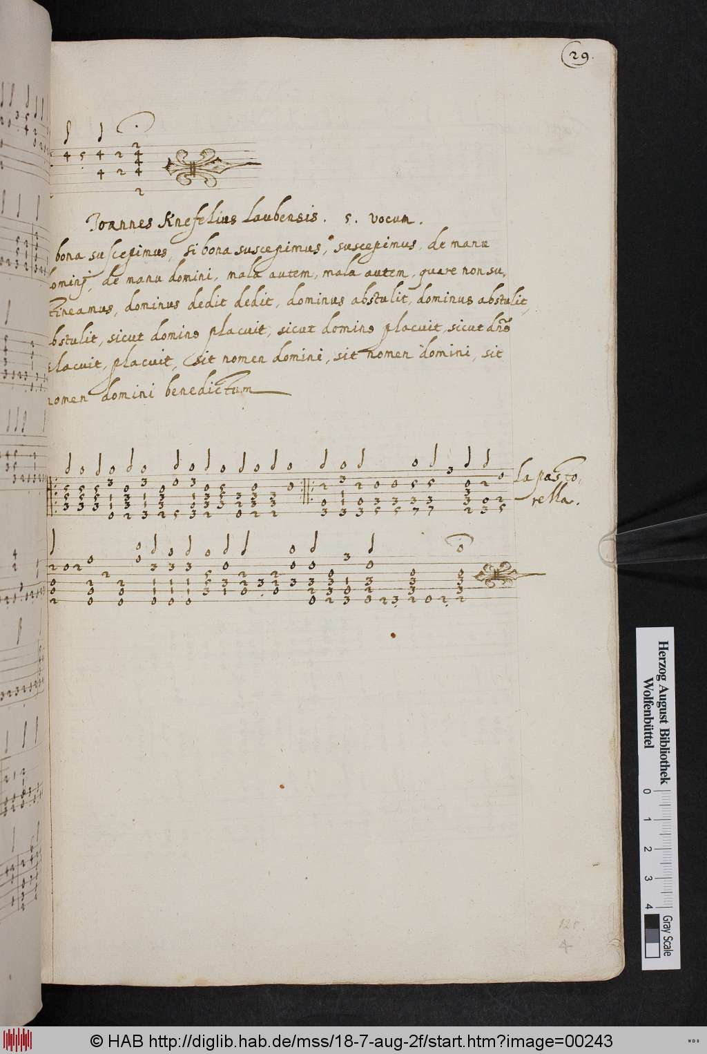 http://diglib.hab.de/mss/18-7-aug-2f/00243.jpg