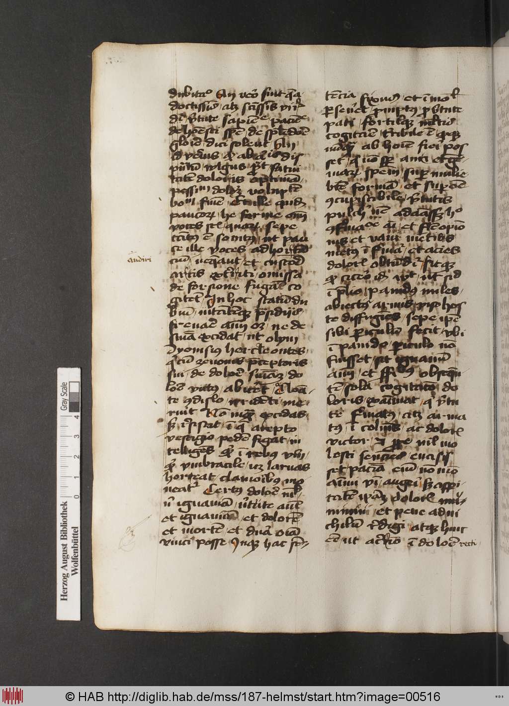 http://diglib.hab.de/mss/187-helmst/00516.jpg