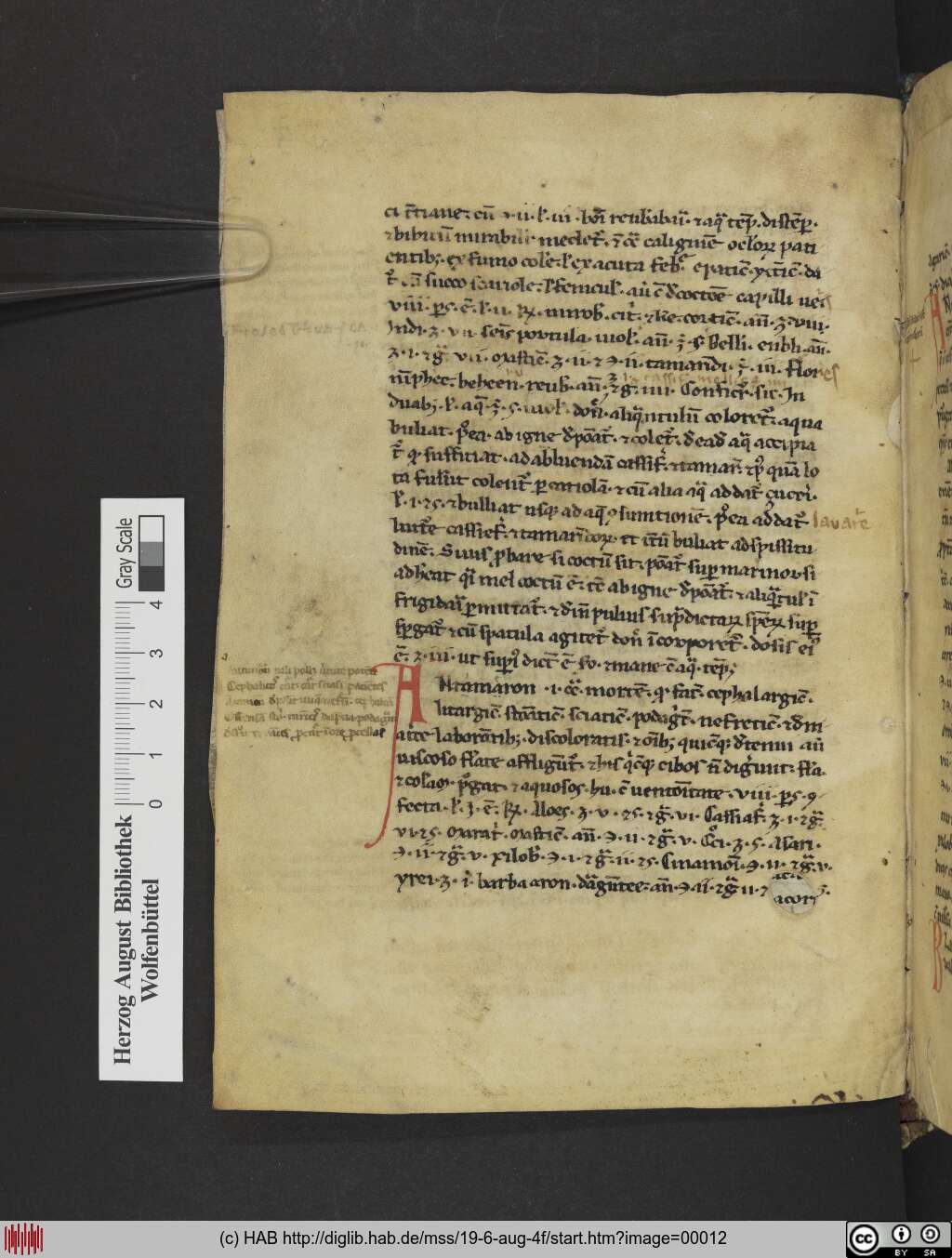 http://diglib.hab.de/mss/19-6-aug-4f/00012.jpg