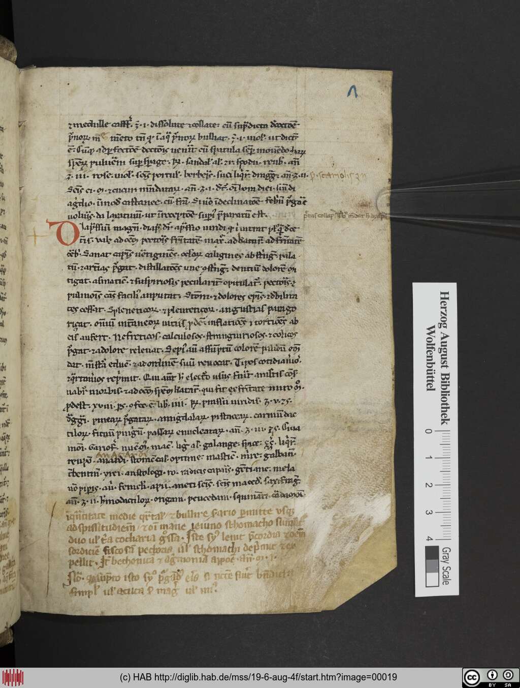 http://diglib.hab.de/mss/19-6-aug-4f/00019.jpg